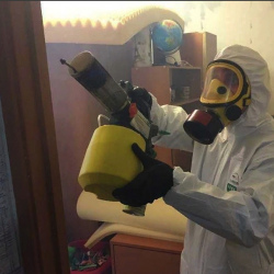 Уничтожение клопов в квартире. Покров